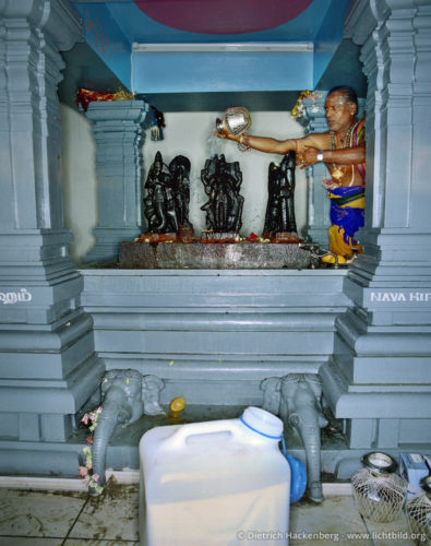 Rituelle Waschung - Hindutempel, Hamm-Uentrop - Götterfiguren werden mit Milch, Honig und Obst genährt und mit Wasser gewaschen. Vorne ein Kanister mit Milch. Den Tempelritualen im Hindutempel in Hamm-Uentrop kann jeder Interessierte beiwohnen. Foto © Dietrich Hackenberg