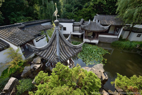 Kranich über den Dächern des Chinesischen Gartens - Ruhr-Universität Bochum - Blick vom Wasserfall aus. "Qian Yuan" (Qians Garten) - Chinesischer Garten im Botanischen Garten der Ruhr-Uni - Foto © Dietrich Hackenberg