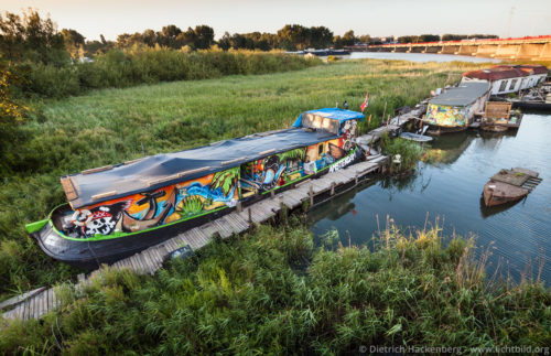 Hausboot im Schilf - Amsterdam-Zeeburg, Niederlande - Foto © Dietrich Hackenberg