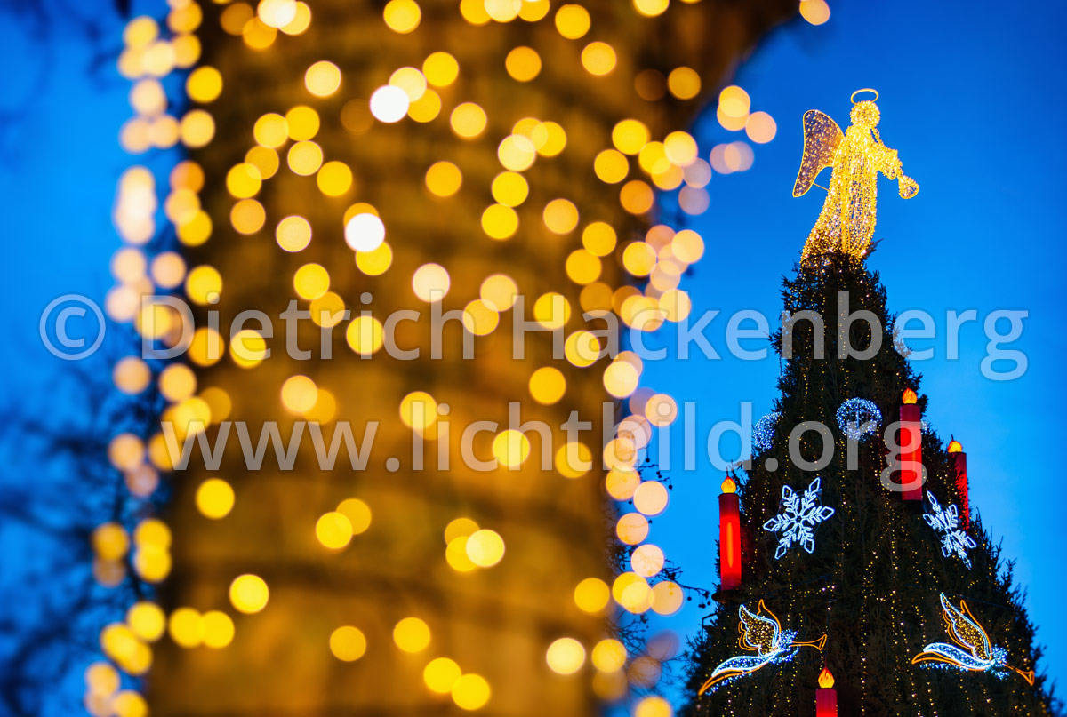 Engel auf der Spitze des Weihnachtsbaumes - Großer Weihnachtsbaum des Weihnachtsmarktes (Dortmunder Weihnachtsstadt) Unscharfe Lichterkette im Vordergrund - Foto © Dietrich Hackenberg